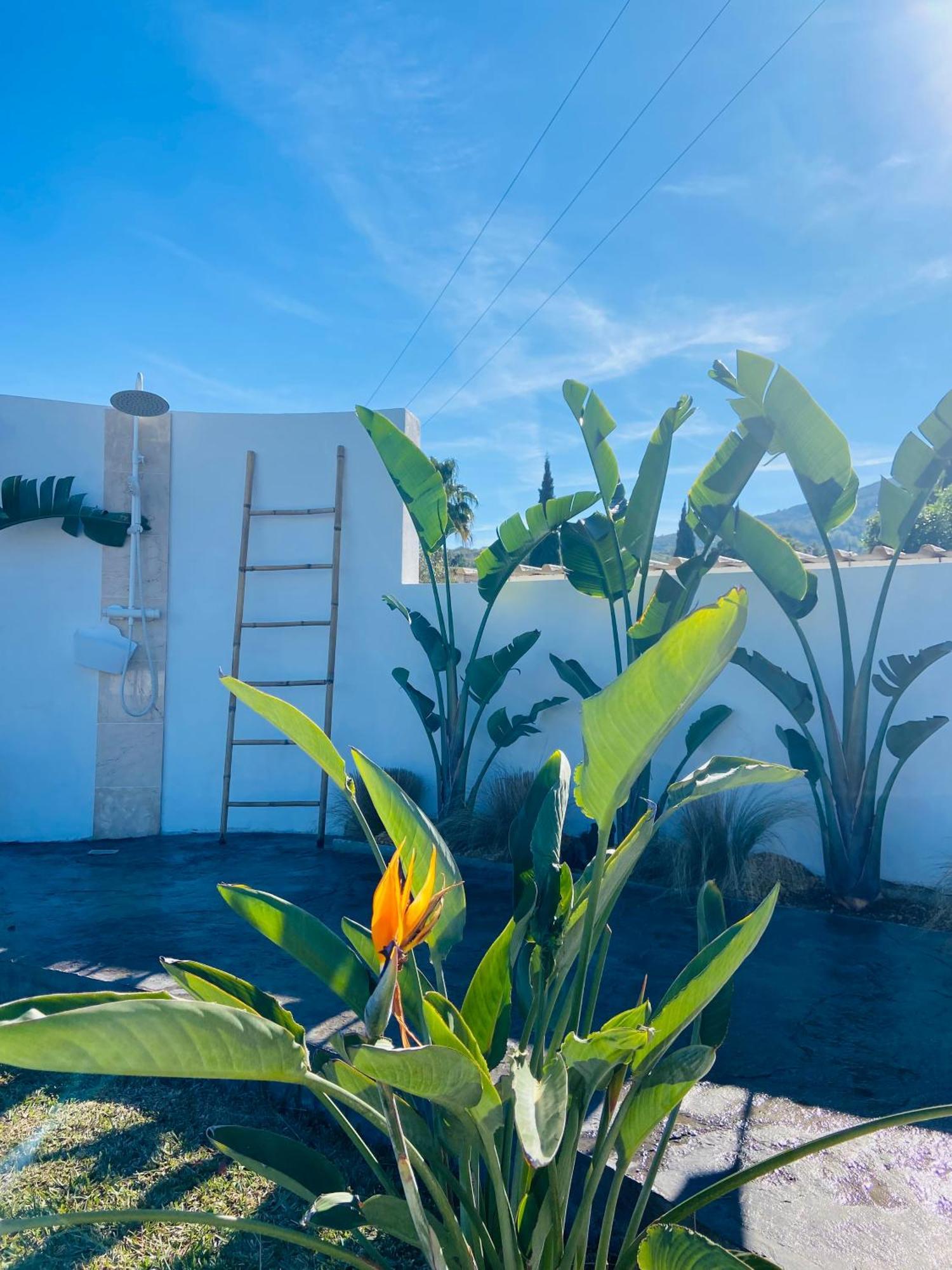 Casa Avellana Villa Denia Dış mekan fotoğraf