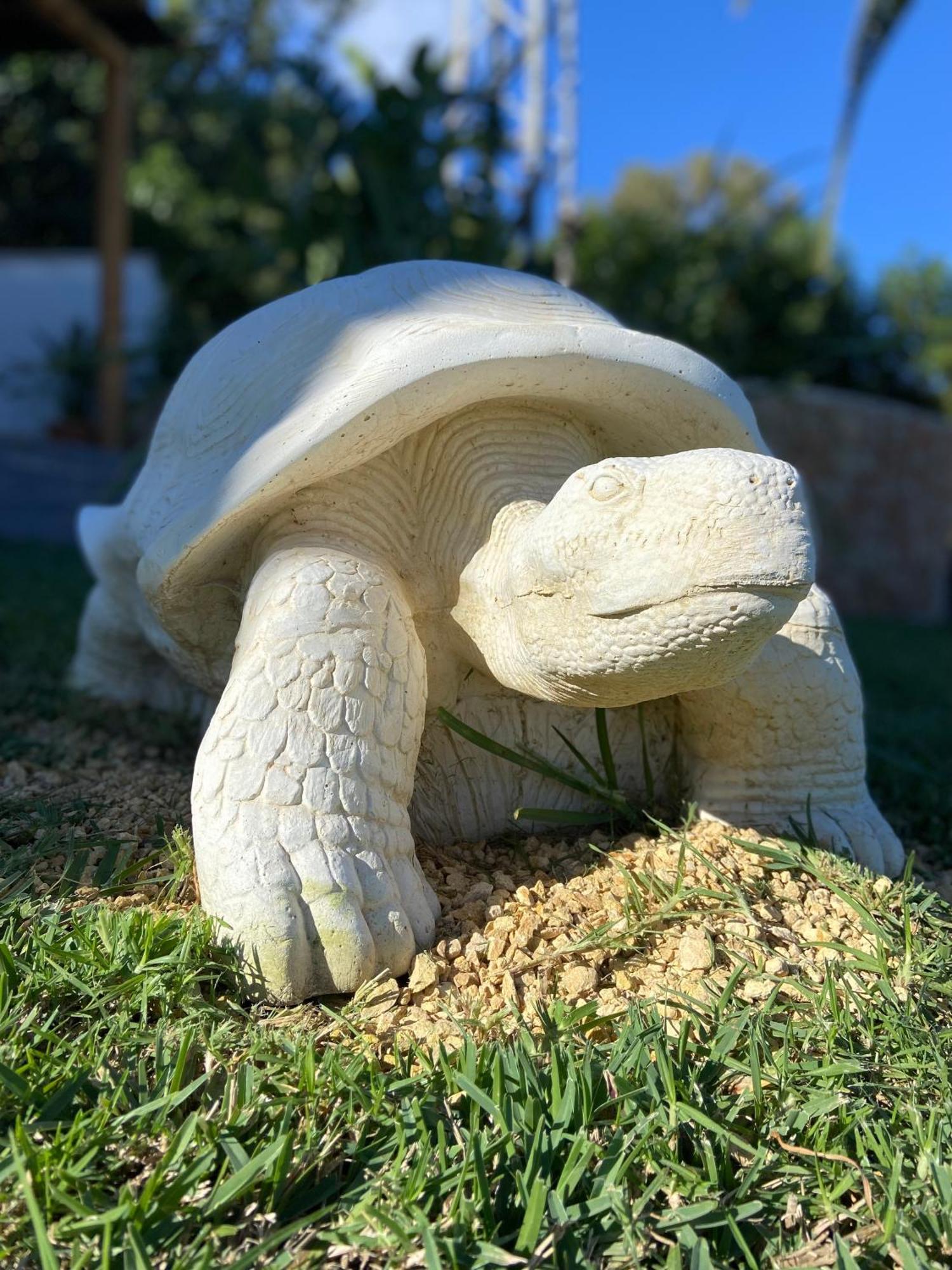 Casa Avellana Villa Denia Dış mekan fotoğraf